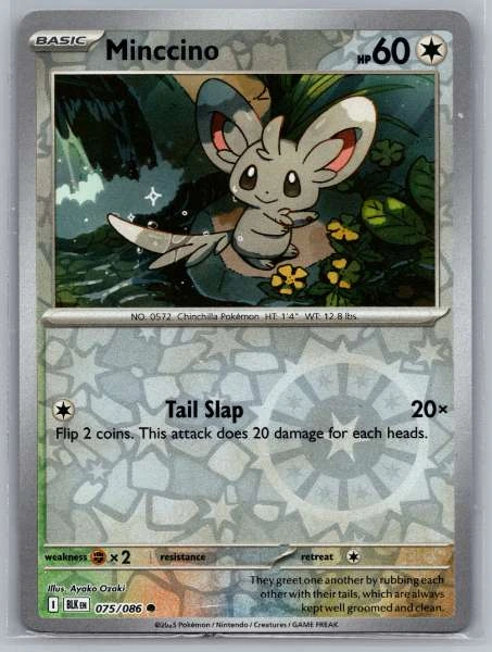 Minccino - Black Bolt #075/086