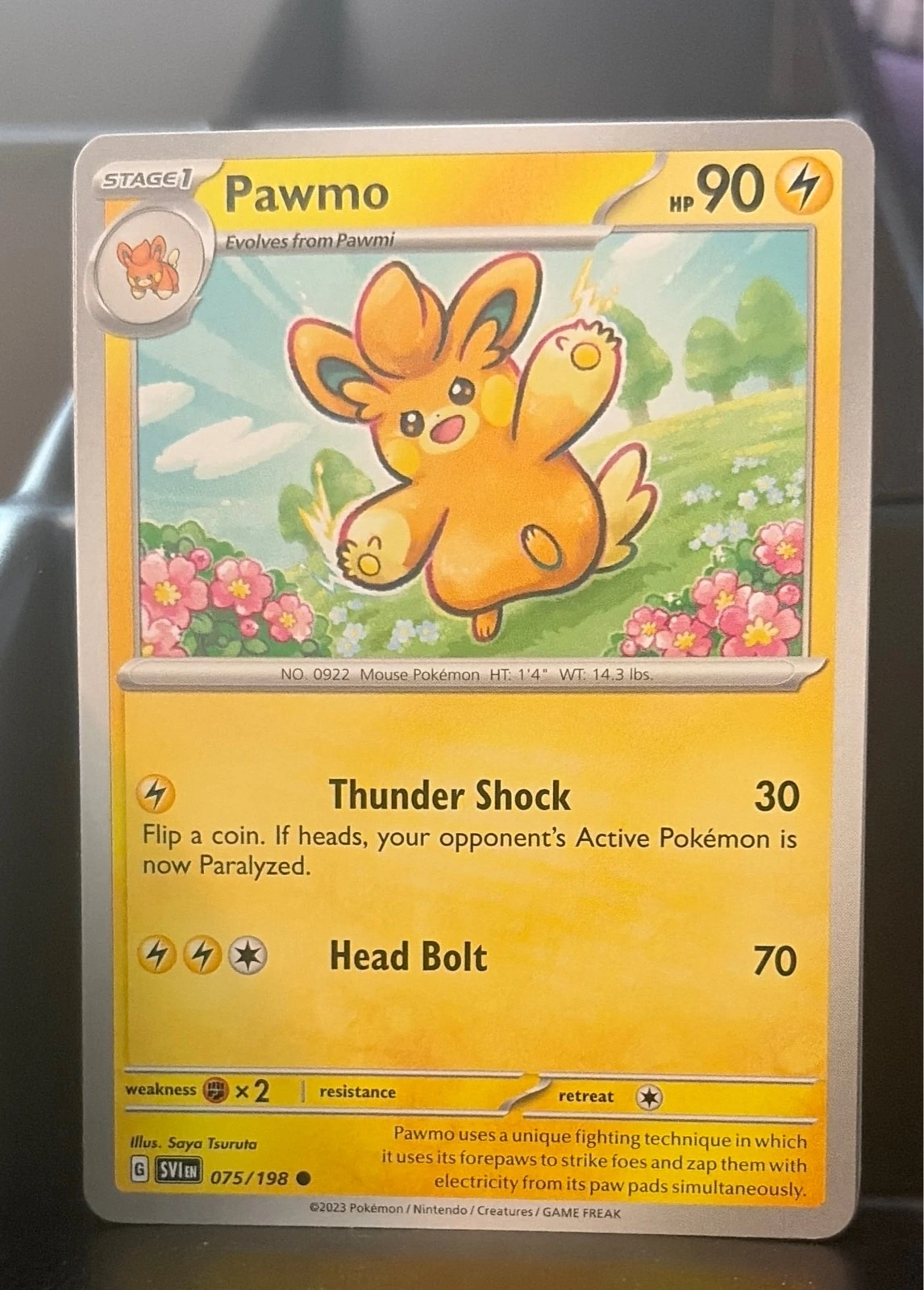 Pawmo 075/198 Common Scarlet & Violet Pokemon Near Mint #075/198