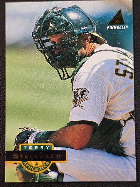 Terry Steinbach - Pinnacle #120