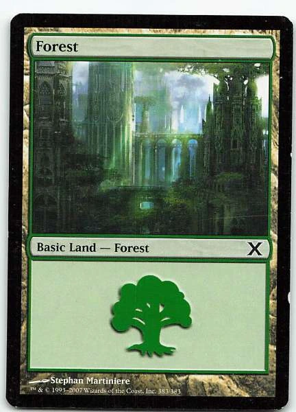 Forest #383/383