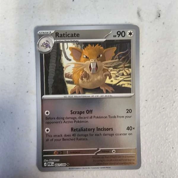 Raticate - XY Evolutions #061/088