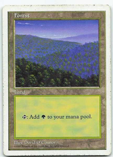 Forest