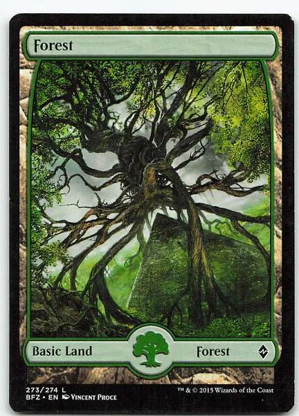 Forest - Return to Ravnica, M21, Battle for Zendikar #273/274