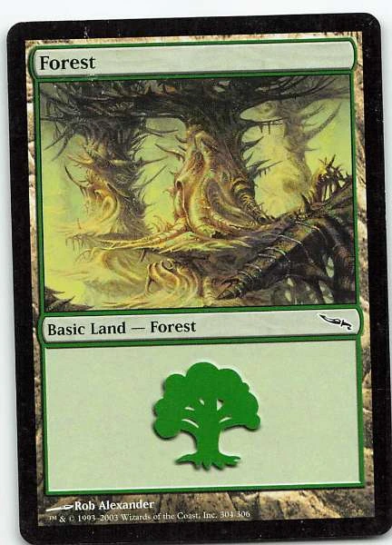 Forest #304/306