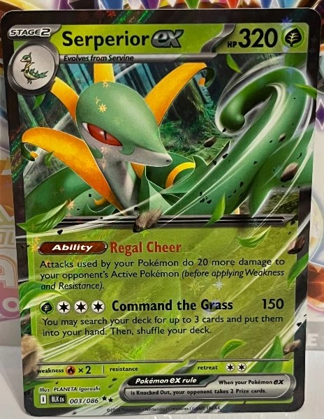 Serperior ex - Black Bolt #003/086