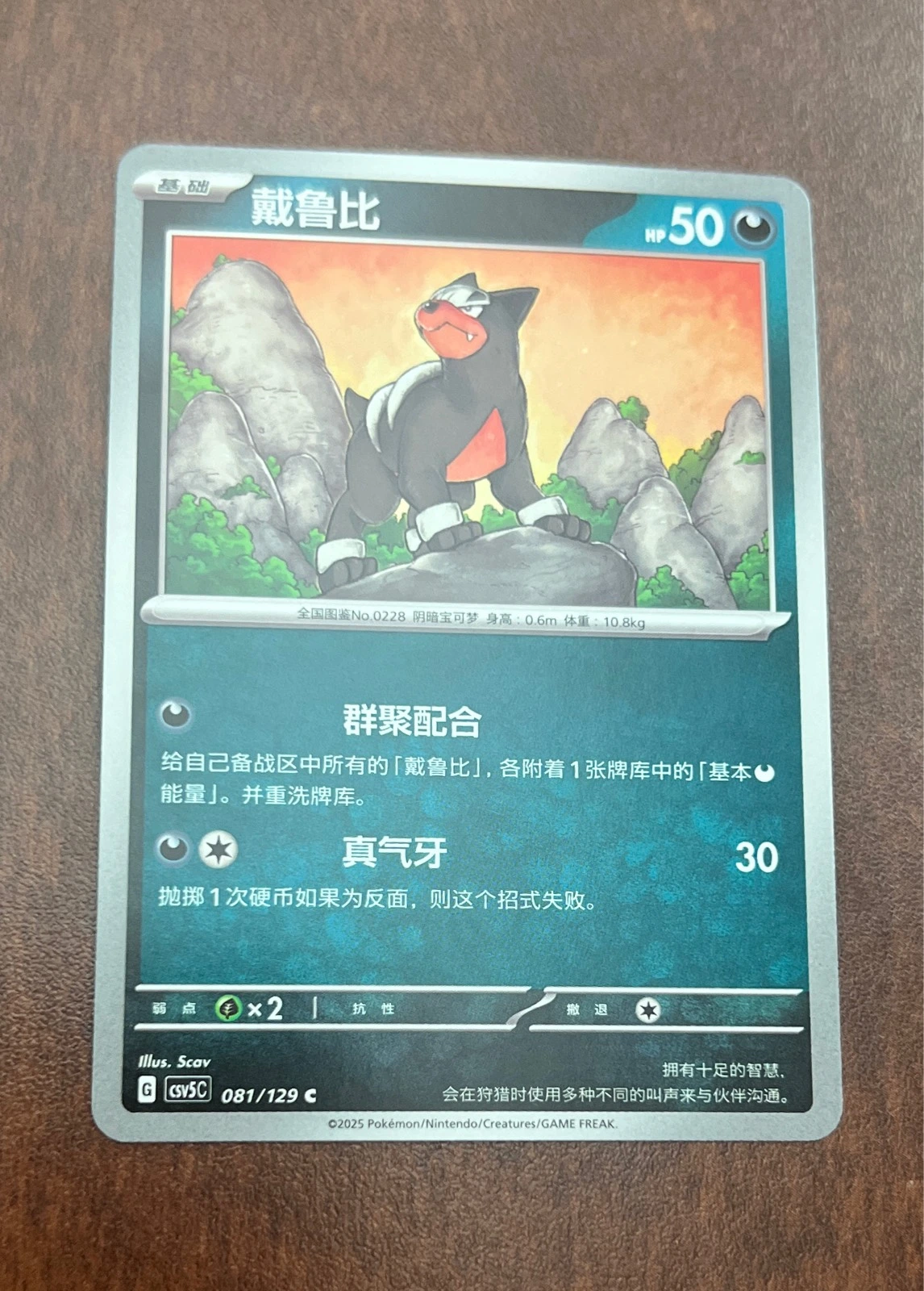 Houndour Chinese - Pokémon TCG Simplified Chinese #081/129